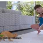 回避(The Shrink) v0.8Pt1 汉化版 PC+安卓 SLG游戏新作 2.3G-造梦少女游戏造梦少女游戏网