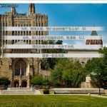 实验室的老鼠(labrats) 1+2 汉化版 QSP文字冒险游戏 1.1G-造梦少女游戏造梦少女游戏网