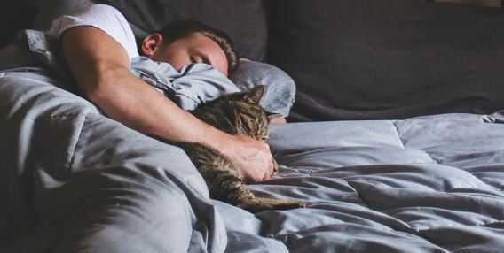 灵丹妙药(Elixir of Life) ver0.8 浏览器汉化版 HTML游戏 1G-造梦少女游戏造梦少女游戏网