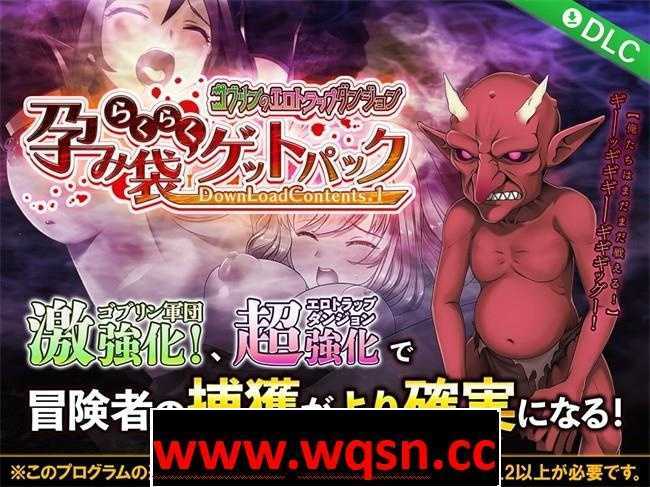 图片[5]-造梦少女游戏【经营SLG/生肉/动态】哥布林的情色迷宫 V1.2.5 DL正式版+DLC1【更新/CV/900M】 - 造梦少女游戏网-造梦少女游戏造梦少女游戏网