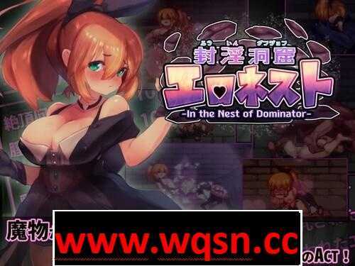 地牢探索:封银洞窟 Hネスト V2.02 官方中文版+DLC-造梦少女游戏造梦少女游戏网