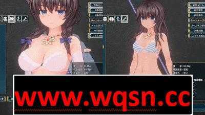 图片[7]-造梦少女游戏【3DACT大作/汉化/全动态】圣骑士莉卡物语：白翼与银翼的姐妹 V1.3.6 精翻汉化版【4.4G】 - 造梦少女游戏网-造梦少女游戏造梦少女游戏网