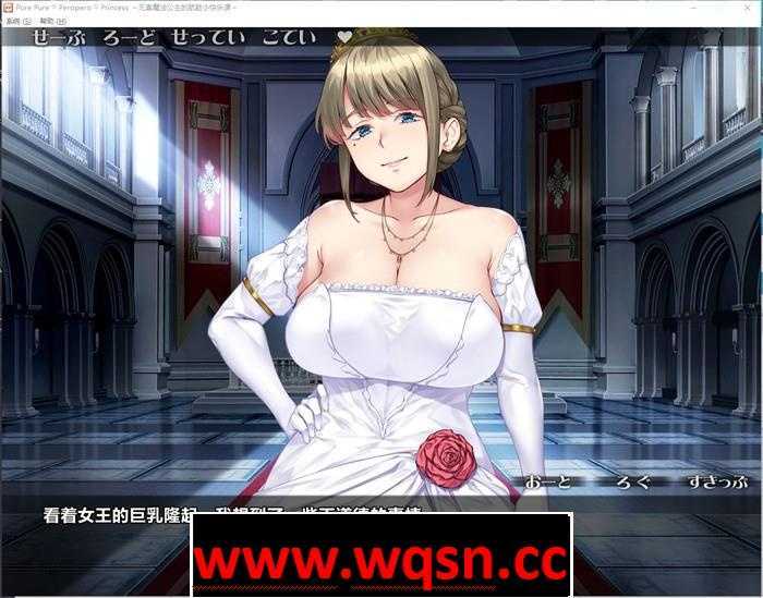 图片[3]-造梦少女游戏【拔作ADV/汉化】纯真魔法公主的快乐课程 云汉化版+存档【全CV/1.6G】 - 造梦少女游戏网-造梦少女游戏造梦少女游戏网