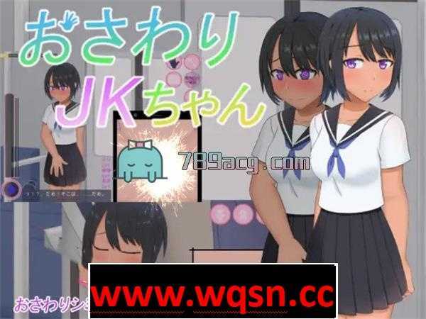 【触摸互动SLG/动态】电车里触摸穿着JK制服的女孩 DL正式版【新作/250M】 - 造梦少女游戏网-造梦少女游戏造梦少女游戏网