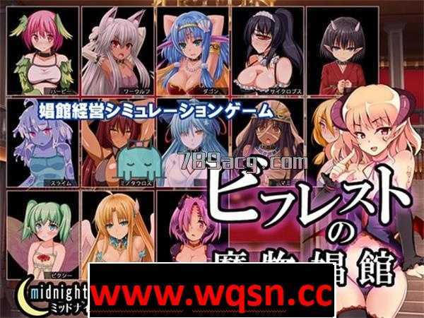 【经营SLG/生肉】比利特的魔物娘风俗店 V1.11 DL官方步兵版 【2.4G】 - 造梦少女游戏网-造梦少女游戏造梦少女游戏网