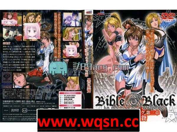 图片[2]-造梦少女游戏黑暗圣经：动画整合+游戏全汉化步兵版-造梦少女游戏造梦少女游戏网