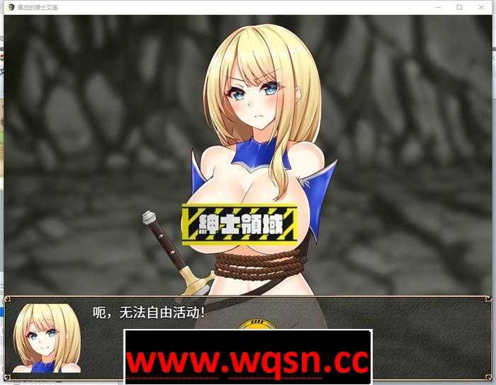 图片[3]-造梦少女游戏【RPG/中文/动态】 佩兹的骑士艾莲与迷宫城镇索多姆 PC+安卓-造梦少女游戏造梦少女游戏网