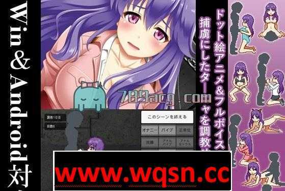 【教育SLG/像素风】教育女军官塔娜 Ver1.1 DL正式版【PC+安卓/100M】 - 造梦少女游戏网-造梦少女游戏造梦少女游戏网