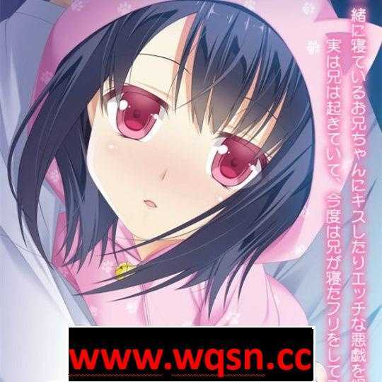 【优质铜矿/生肉】哥哥睡着了吗：お兄ちゃん寝ちゃった【PC+安卓KR/400M】-造梦少女游戏造梦少女游戏网