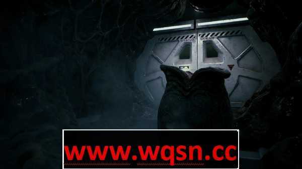 《异形:火力小队》v1.0.5.108071+边境自由职业者包DLC+全DLC - 造梦少女游戏网-造梦少女游戏造梦少女游戏网