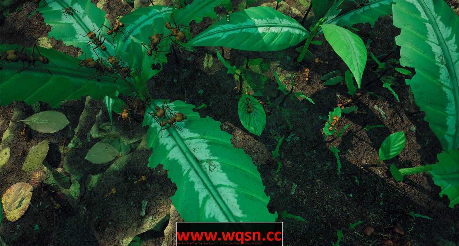 《地下蚁国 Empires of the Undergrowth》 v1.000016官方中文正式版-造梦少女游戏造梦少女游戏网