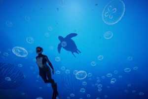 深海超越-（官中）-探索海底的奇观与神秘 - 造梦少女游戏网-造梦少女游戏造梦少女游戏网