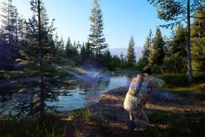 模拟狩猎2-(官中+DLC） - 造梦少女游戏网-造梦少女游戏造梦少女游戏网