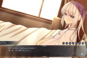 白色之翼-（官中+全DLC）-造梦少女游戏造梦少女游戏网