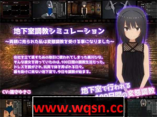 【调教SLG/生肉/全动态】地下室调教模拟器~被父母出卖的我将接受变态调教 V1.10 DL正式版【新作/200M】 - 造梦少女游戏网-造梦少女游戏造梦少女游戏网