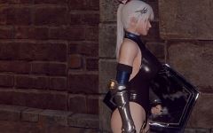 [ACT/汉化] 地下城的女骑士 地下城の女騎士 官方中文步兵版+存档 3.3G - 造梦少女游戏网-造梦少女游戏造梦少女游戏网