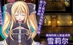 [RPG/汉化] 雪莉尔的大冒险～金色巨龙与遗迹之岛～ Ver1.02官方中文版 [多空/1.1G] - 造梦少女游戏网-造梦少女游戏造梦少女游戏网
