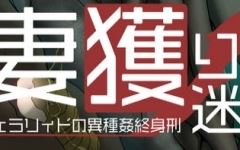 【爆款RPG/汉化】妻獲り迷宮：雪拉莉德的异种终身刑 汉化作弊版【PC+安卓/1.3G】 - 造梦少女游戏网-造梦少女游戏造梦少女游戏网