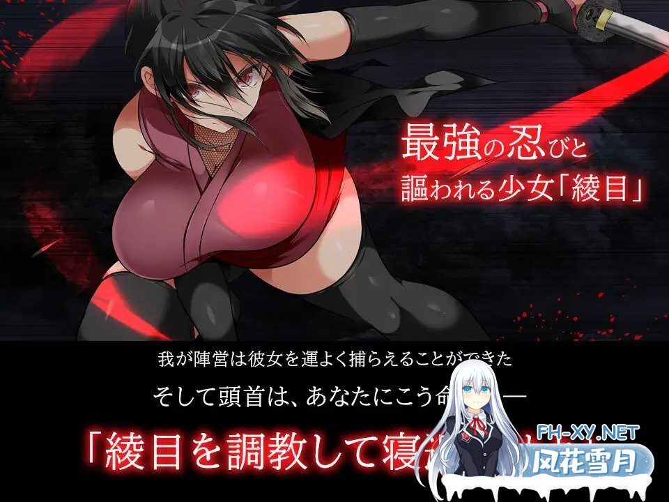 超大型爆款调教SLG/无码/超精美动态CG][全CG存档]忍堕－女忍调教 / 忍堕とし 步兵无码官方汉化硬盘版[百度解压11G] - 造梦少女游戏网-造梦少女游戏造梦少女游戏网