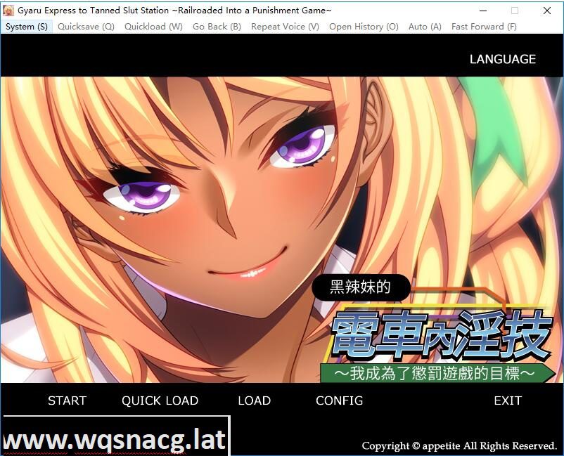 [拔作ADV/中文]黑辣妹的电车内银技～惩罚游戏目标的我 PC+安卓模拟官方中文版 [450M] - 造梦少女游戏网-造梦少女游戏造梦少女游戏网