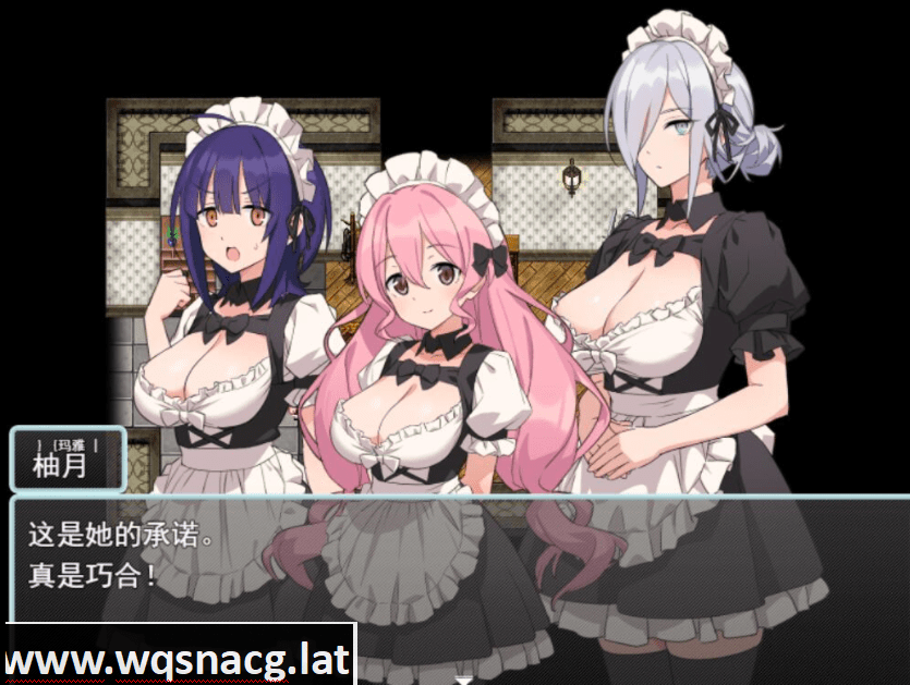 [RPG/汉化] 女仆和我的家 Hとメイドとマイホーム V1.01 PC+安卓-造梦少女游戏造梦少女游戏网