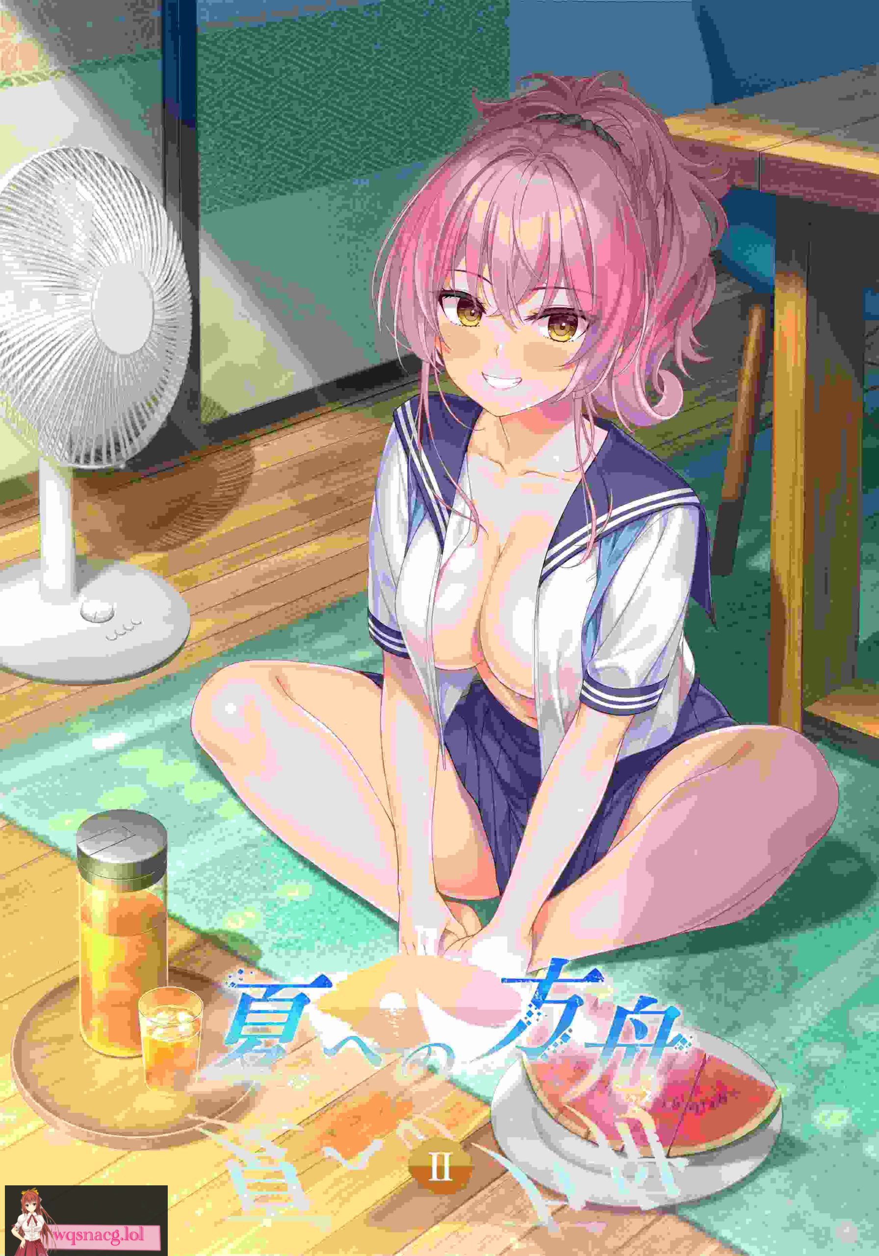 [2024年9月27日新作/ADV游戏][全CG存档]夏への方舟II 官方中文硬盘版+全CG存档1.5G - 造梦少女游戏网-造梦少女游戏造梦少女游戏网