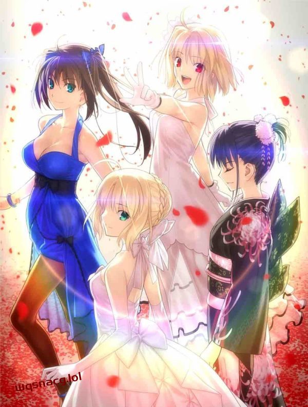 TYPE-MOON型月本社与分社游戏合集140G-造梦少女游戏造梦少女游戏网