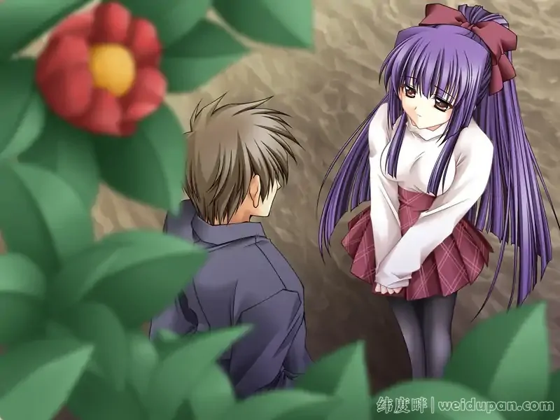 【神作ADV汉化】无颜之月 RENEWAL精翻完结+全CG存档-造梦少女游戏造梦少女游戏网