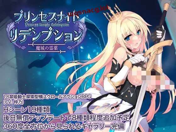 [动作ACT] 公主骑士炼金术 魔城之灵药 プリンセスナイトリデンプ-造梦少女游戏造梦少女游戏网