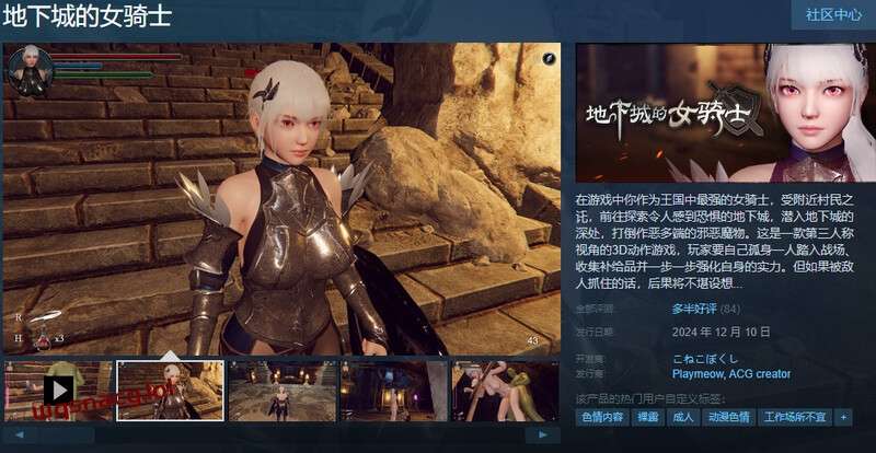 [ACT/汉化] 地下城的女骑士 地下城の女騎士 v25.01.23 官方中文-造梦少女游戏造梦少女游戏网