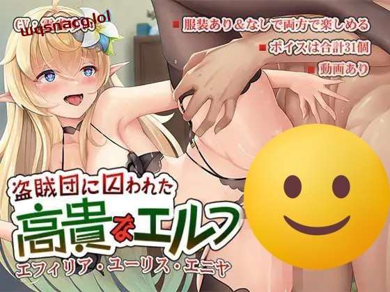 [日式SLG] 盗賊団に囚われた高貴なエルフ 日文版 400M - 造梦少女游戏网-造梦少女游戏造梦少女游戏网