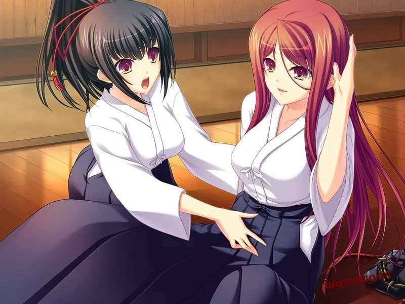 [拔作ADV] 抚子乱舞 撫子乱舞 AI汉化版+全CG存档 1G - 造梦少女游戏网-造梦少女游戏造梦少女游戏网