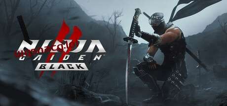 忍者龙剑传2：黑之章NINJA GAIDEN 2 Black v1.0.0官方中文免安装版-造梦少女游戏造梦少女游戏网