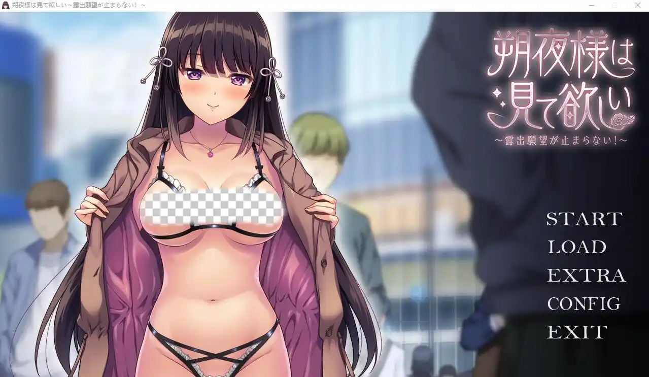 朔夜大人，请看看～无法停止的暴露愿望！～AI汉化版+全CG-造梦少女游戏造梦少女游戏网