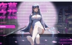 【国产RPG】夜幕之花 Ver0.528 官方中文步兵版-造梦少女游戏造梦少女游戏网