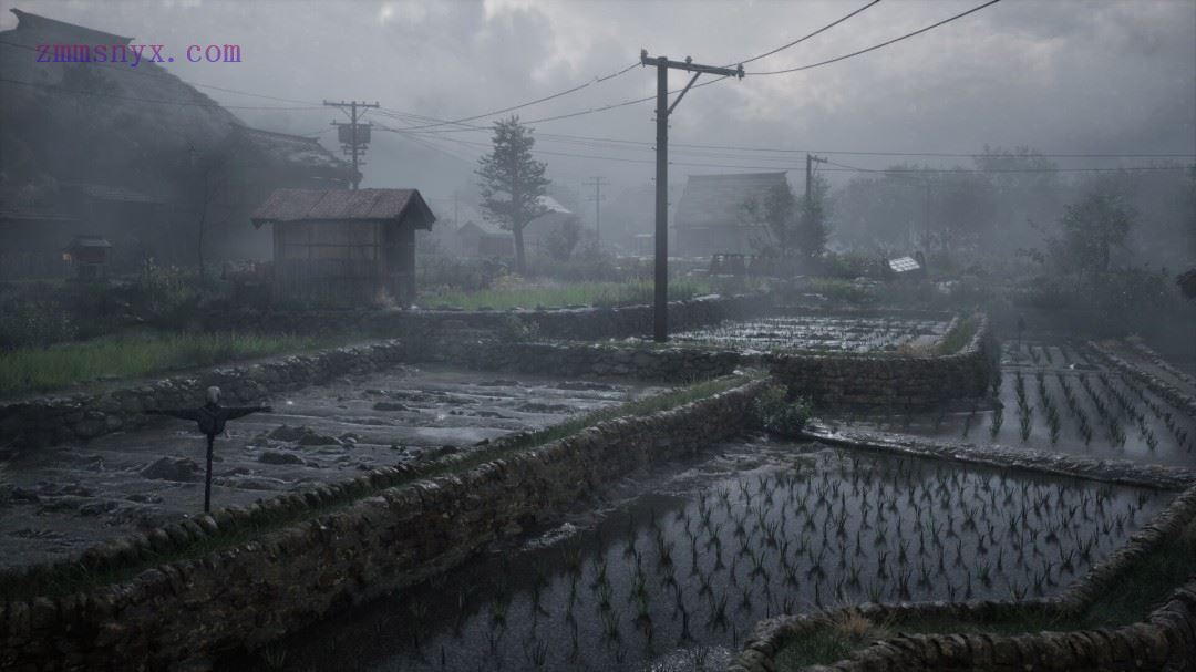 图片[13]-造梦少女游戏寂静岭F|豪华中文|Build.20854836+预购特典-恶天使の人间+全DLC+原声音乐+美术设定集|解压即撸| - 造梦少女游戏网-造梦少女游戏造梦少女游戏网