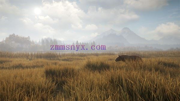 图片[10]-造梦少女游戏猎人 荒野的召唤|官方中文|Build.20937335+苏格兰狩猎保护区DLC-荒野猎魂-血誓荒原+全DLC|解压即撸| - 造梦少女游戏网-造梦少女游戏造梦少女游戏网