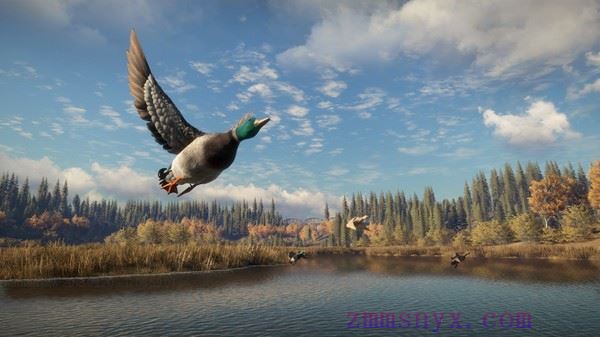 图片[12]-造梦少女游戏猎人 荒野的召唤|官方中文|Build.20937335+苏格兰狩猎保护区DLC-荒野猎魂-血誓荒原+全DLC|解压即撸| - 造梦少女游戏网-造梦少女游戏造梦少女游戏网