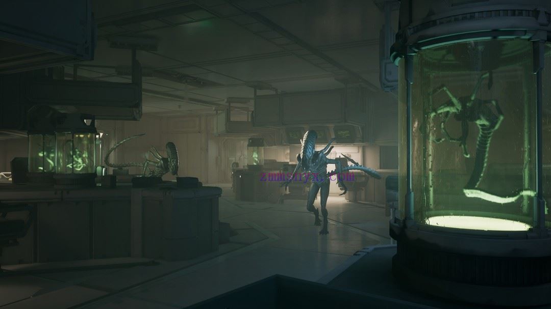 图片[9]-造梦少女游戏异形 盗贼入侵进化|豪华中文|Build.20147338+全DLC+预购奖励|解压即撸| - 造梦少女游戏网-造梦少女游戏造梦少女游戏网