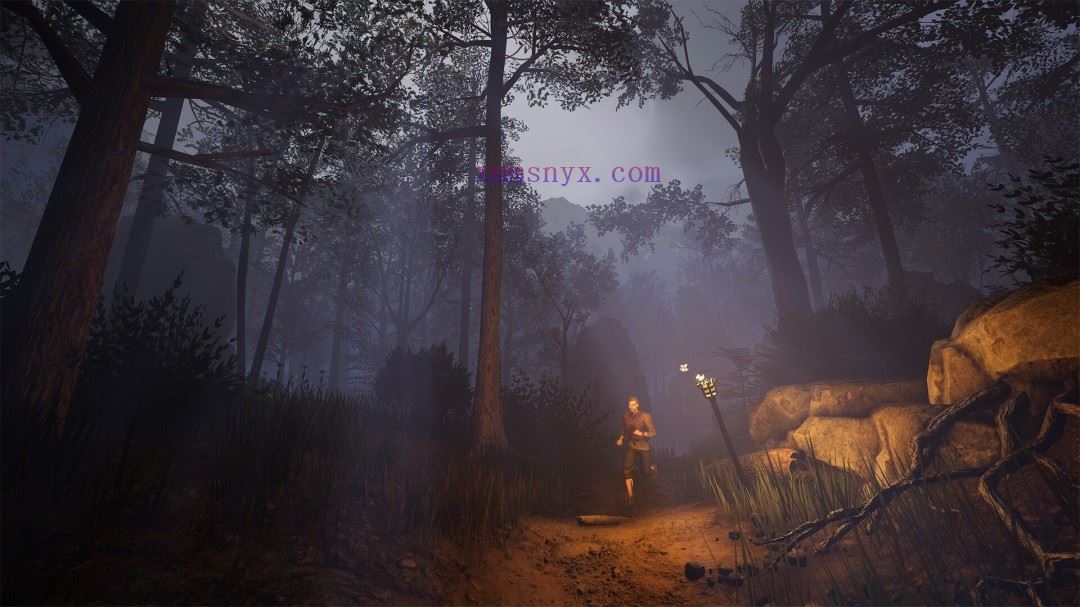 图片[9]-造梦少女游戏灰雨钢锋|豪华中文|V1.04+预购特典+全DLC-开放世界RPG|解压即撸| - 造梦少女游戏网-造梦少女游戏造梦少女游戏网