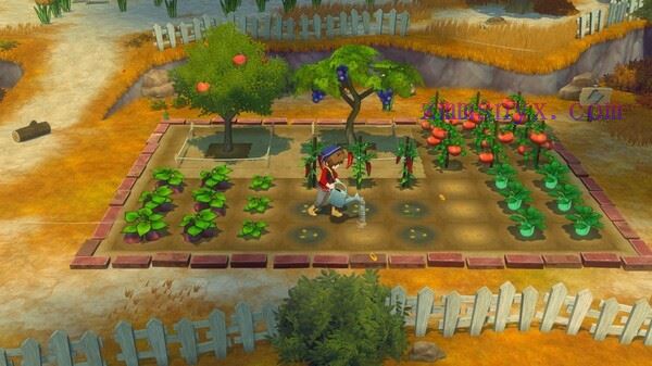 图片[2]-造梦少女游戏牧场物语 来吧! 风之繁华集市|豪华中文|Build.19408688HF+预购特典+全DLC|解压即撸| - 造梦少女游戏网-造梦少女游戏造梦少女游戏网