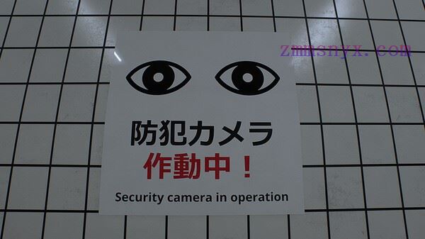 图片[5]-造梦少女游戏8号出口|豪华中文|Build.19751098|解压即撸| - 造梦少女游戏网-造梦少女游戏造梦少女游戏网